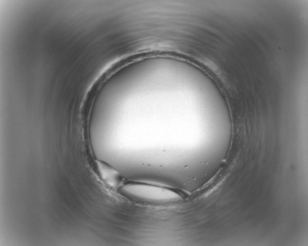 X0000065971118200603241906