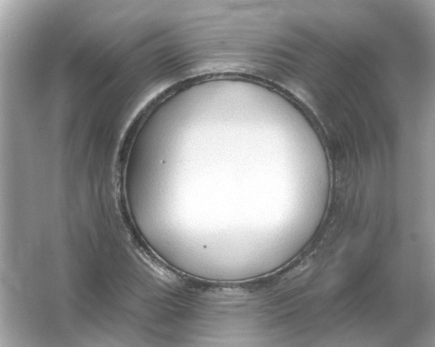 X0000065971119200603241906