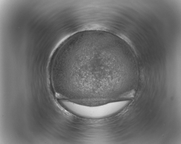 X0000065971120200603241906