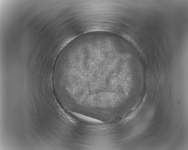 X0000065971121200603241906