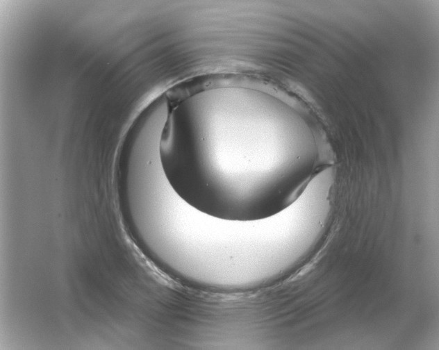 X0000065971122200603241906