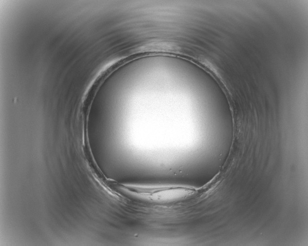 X0000065971123200603241906