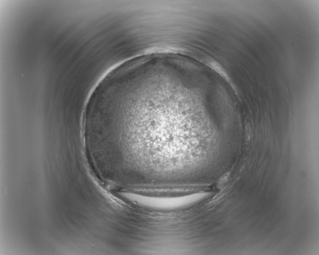 X0000065971124200603241906