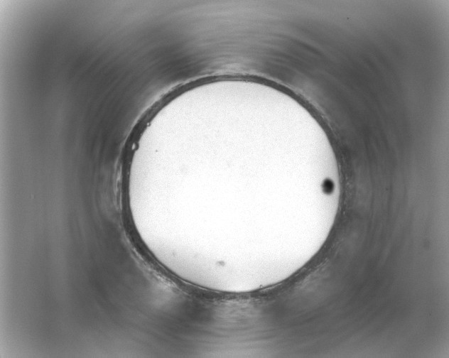 X0000065971126200603241906