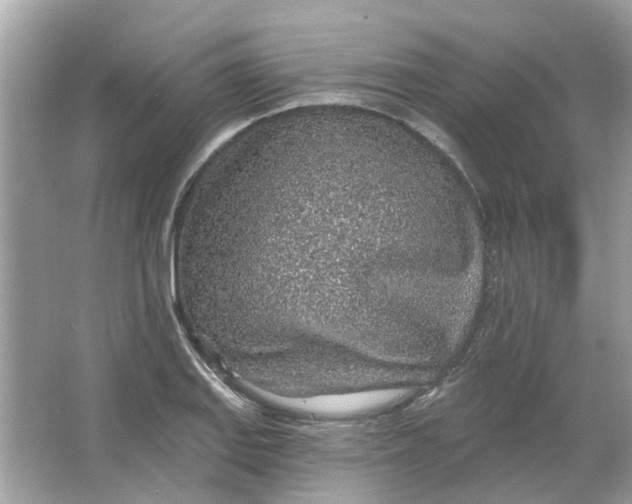 X0000065971127200603241906