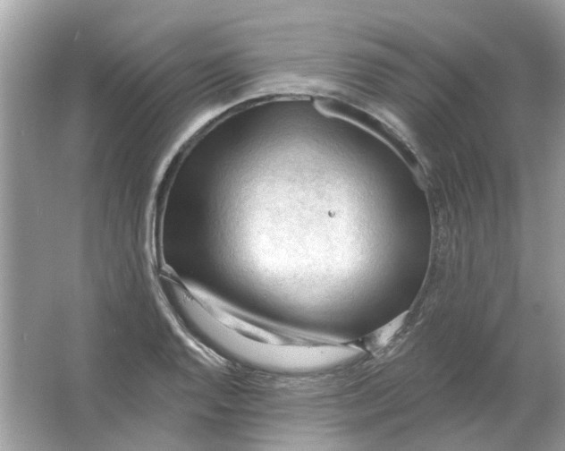 X0000065971128200603241906