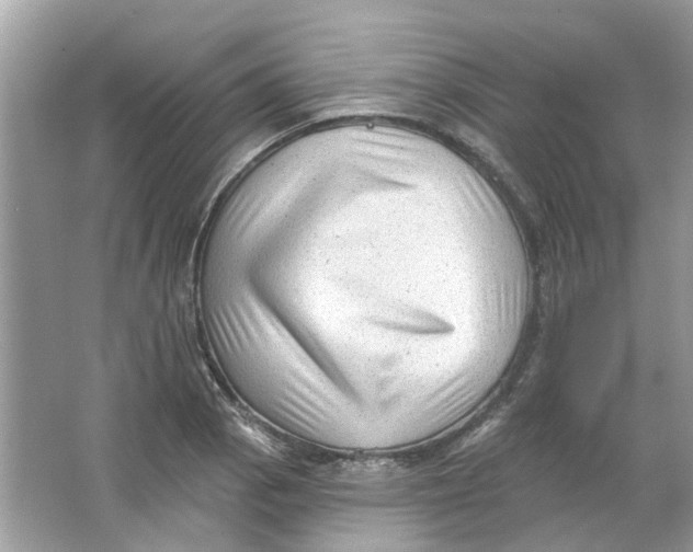 X0000065971129200603241906