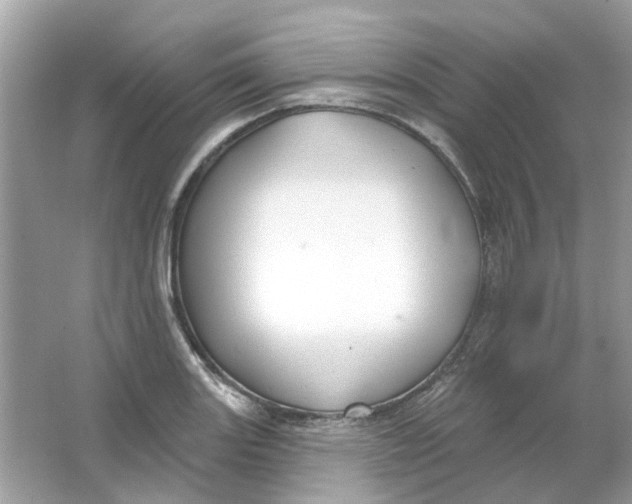 X0000065971131200603241906