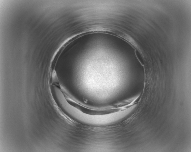 X0000065971132200603241906