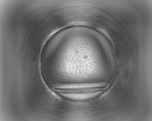 X0000065971133200603241906