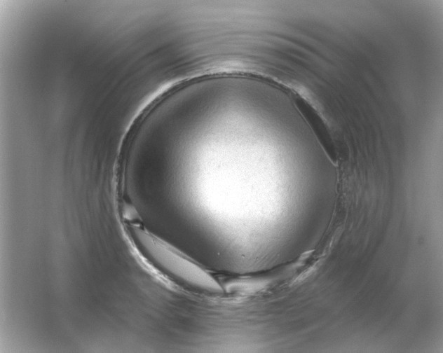 X0000065971134200603241906