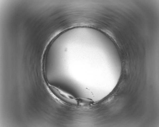 X0000065971135200603241906