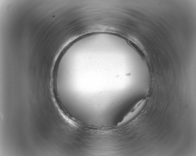 X0000065971136200603241906