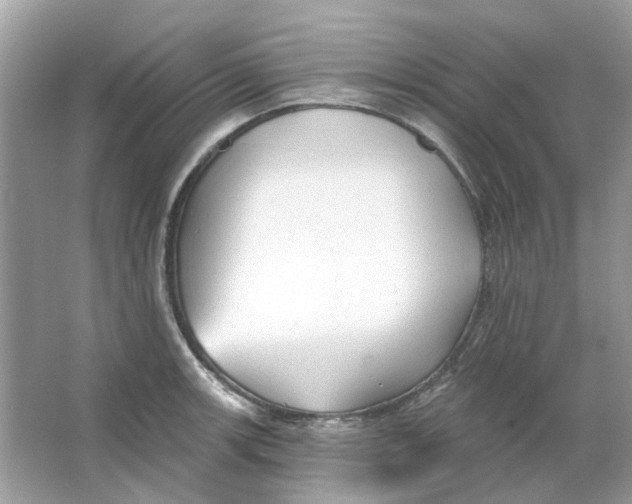 X0000065971139200603241906