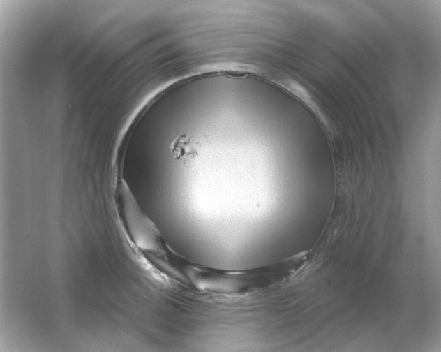 X0000065971140200603241906