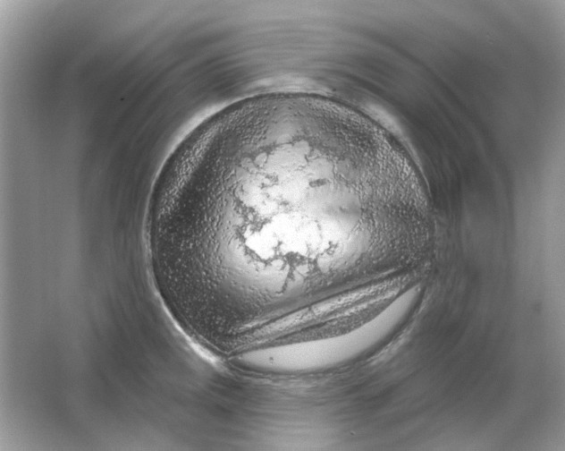 X0000065971141200603241906