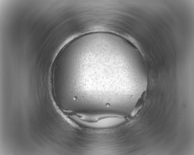 X0000065971142200603241906