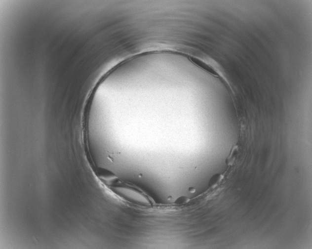 X0000065971143200603241906