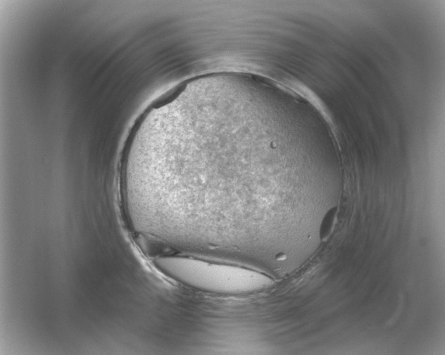 X0000065971144200603241906