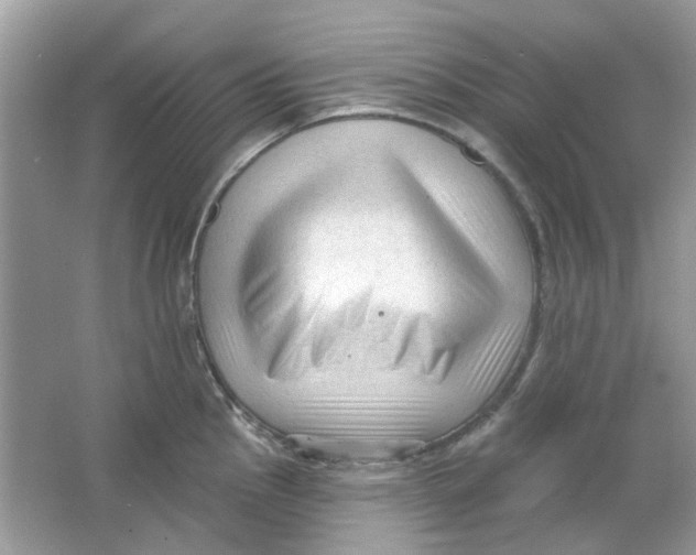 X0000065971145200603241906