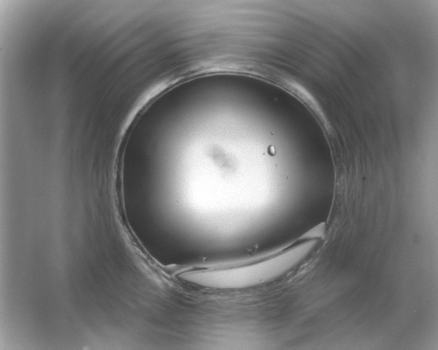 X0000065971146200603241906