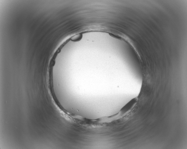 X0000065971147200603241906