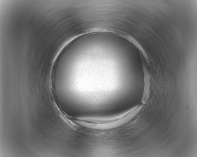 X0000065971148200603241906