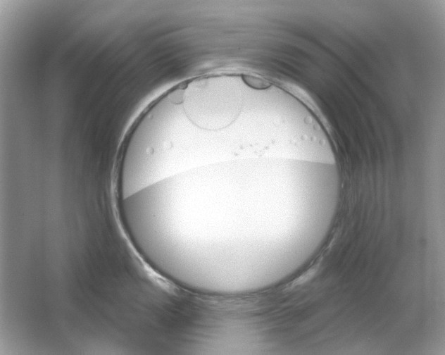 X0000065971149200603241906