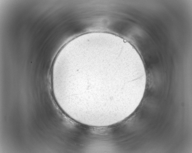 X0000065971150200603241906