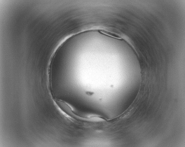 X0000065971151200603241906