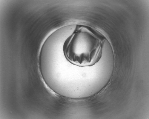 X0000065971152200603241906