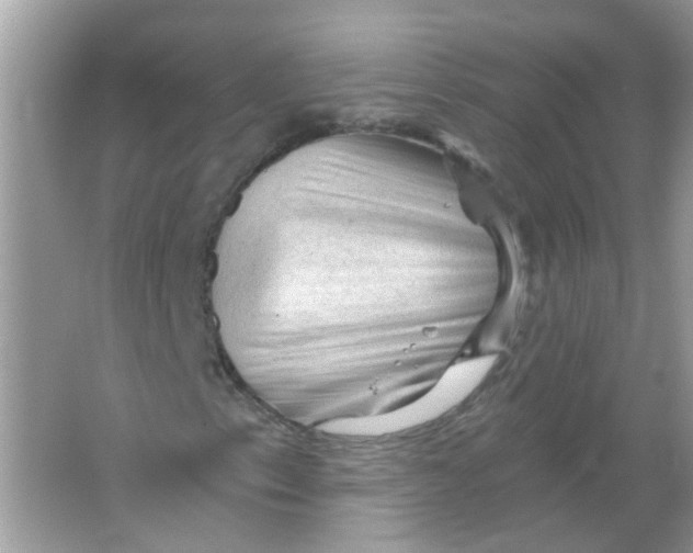 X0000065971153200603241906