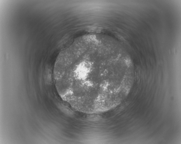 X0000065971154200603241906