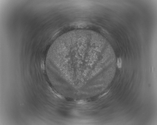 X0000065971155200603241906