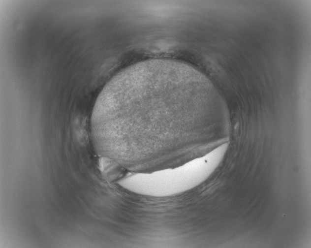 X0000065971156200603241906