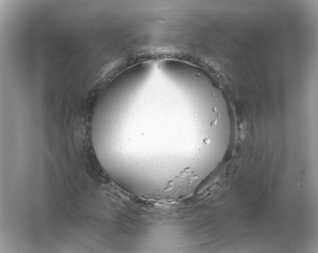 X0000065971157200603241906