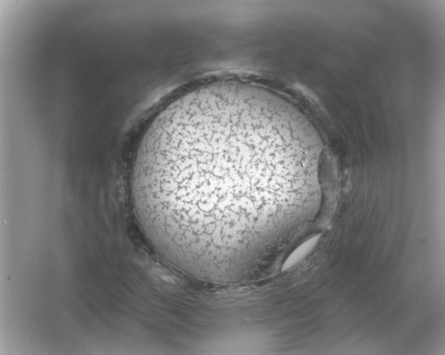 X0000065971159200603241906