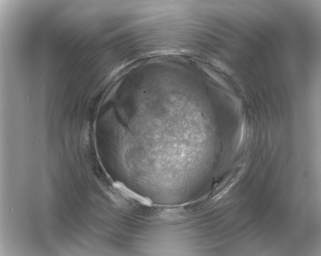 X0000065971161200603241906