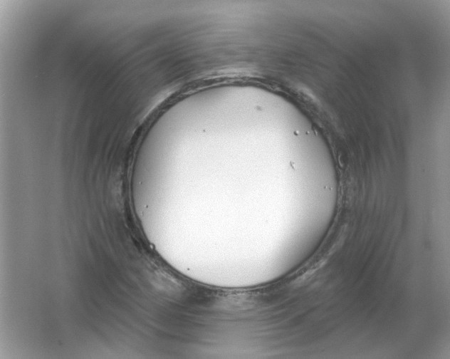 X0000065971162200603241905