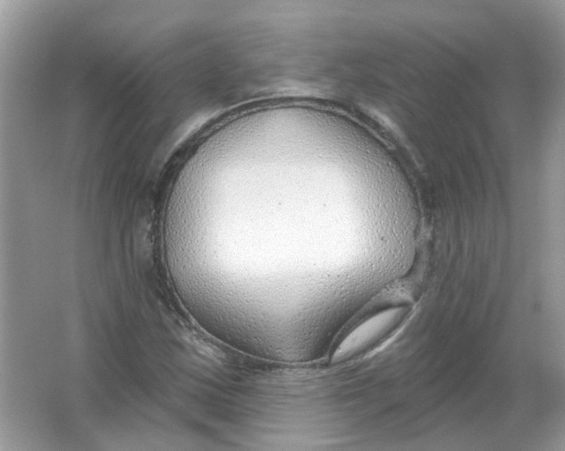 X0000065971163200603241905