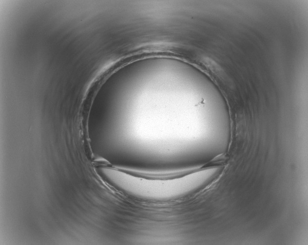 X0000065971164200603241905