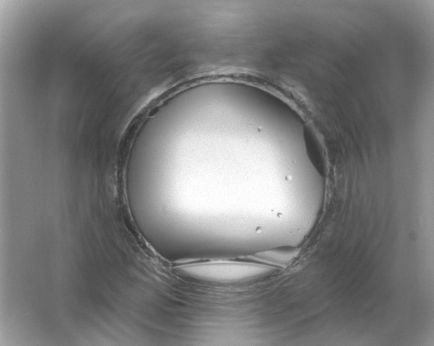 X0000065971165200603241905