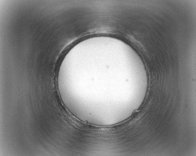 X0000065971166200603241905