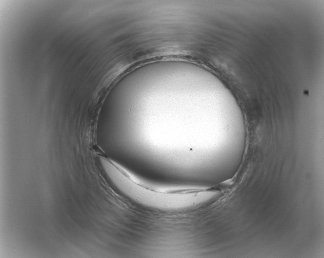 X0000065971169200603241905