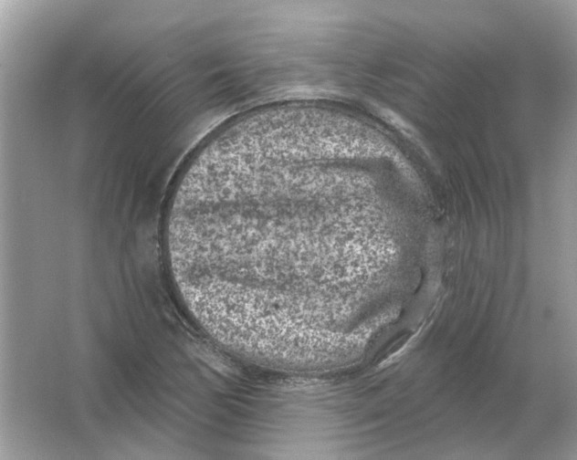 X0000065971170200603241905