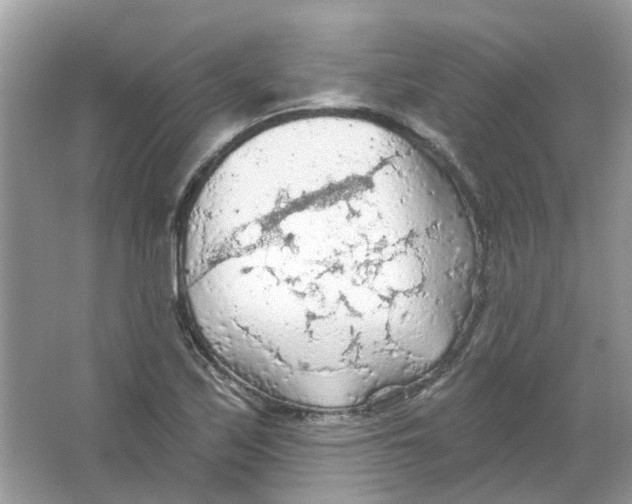 X0000065971171200603241905