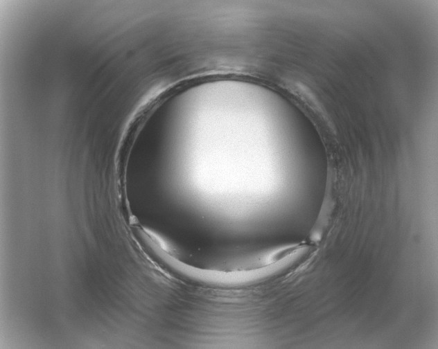 X0000065971172200603241905