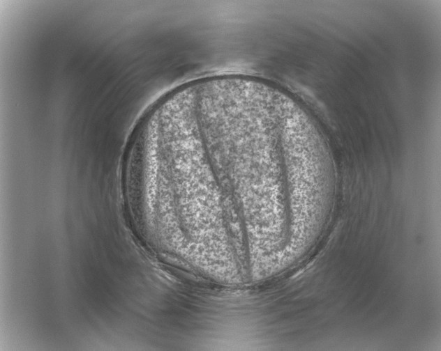 X0000065971174200603241905