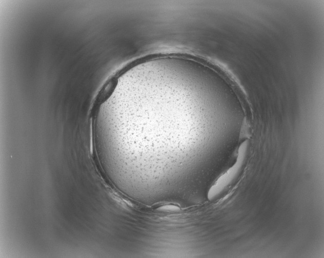 X0000065971175200603241905