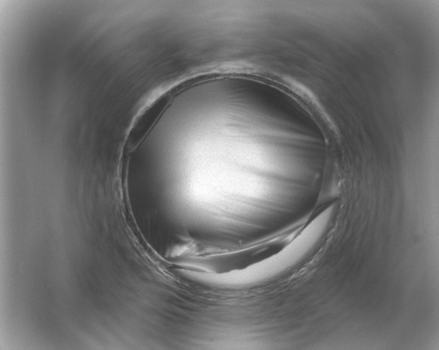 X0000065971176200603241905